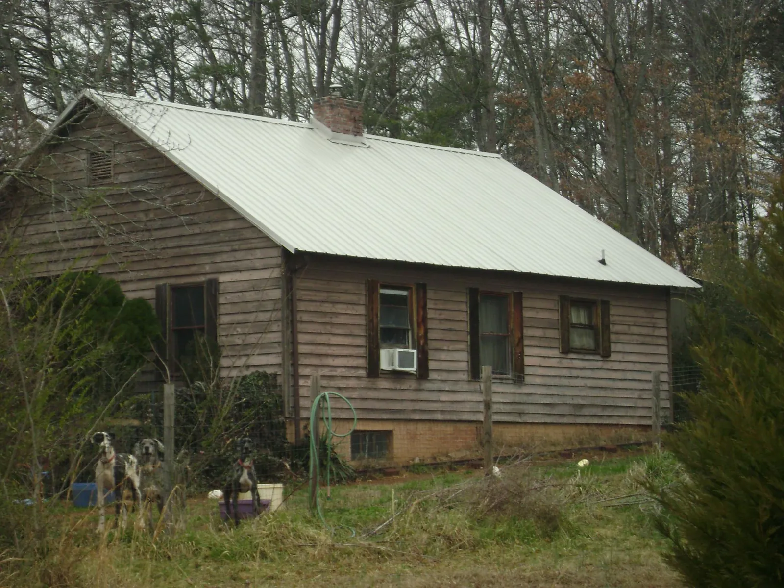 White metal roof on an old wood sided farmhouse, from a Metal Roof Installation job in Seabeck